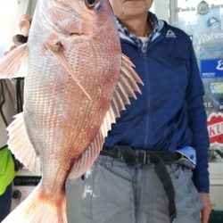 遊漁船 ニライカナイ 釣果