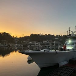 へいみつ丸 釣果