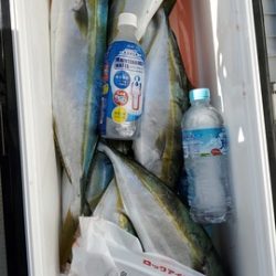 遊漁船 ニライカナイ 釣果