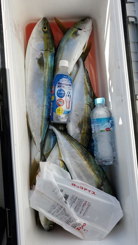 遊漁船 ニライカナイ 釣果