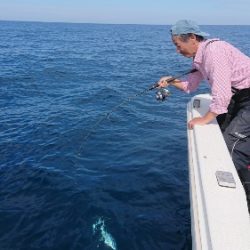 IDATEN(イダテン) 釣果