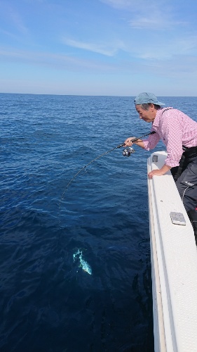 IDATEN(イダテン) 釣果