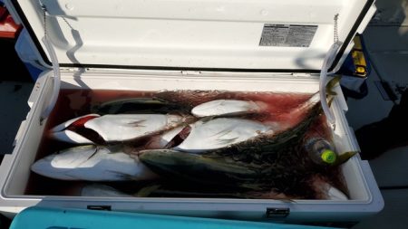 遊漁船　ニライカナイ 釣果