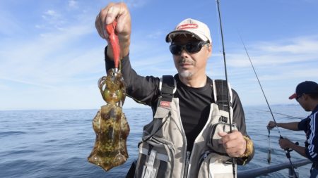 まるいち丸 ZERO-1 釣果