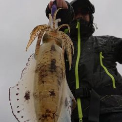 Fisherman Dreams DI 釣果