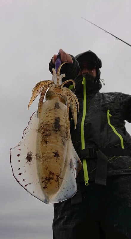 Fisherman Dreams DI 釣果