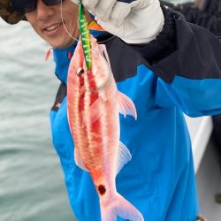 へいみつ丸 釣果