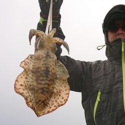 Fisherman Dreams DI 釣果