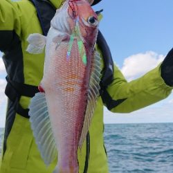 IDATEN(イダテン) 釣果