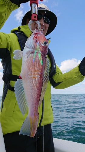 IDATEN(イダテン) 釣果