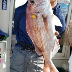 遊漁船 ニライカナイ 釣果