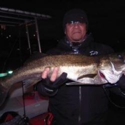 シーマジカル 釣果