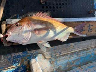 幸吉丸 釣果