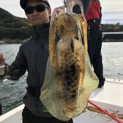 Magic(マジック) 釣果