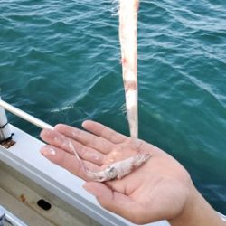 遊漁船 ニライカナイ 釣果