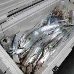 遊漁船 セトマリン 釣果