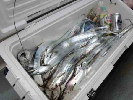 遊漁船 セトマリン 釣果