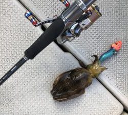 白墨丸 釣果