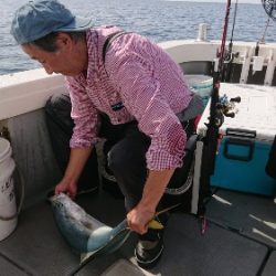 IDATEN(イダテン) 釣果