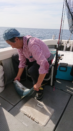 IDATEN(イダテン) 釣果