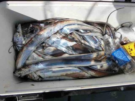 遊漁船 セトマリン 釣果