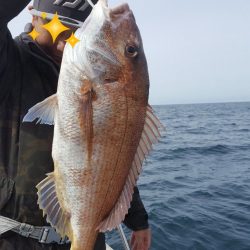 海峰 釣果