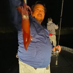 シーマジカル 釣果