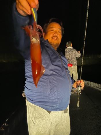 シーマジカル 釣果