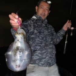 シーマジカル 釣果