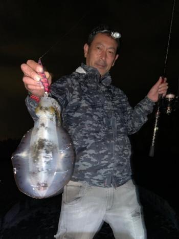 シーマジカル 釣果