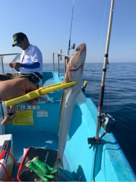 宝昌丸 釣果