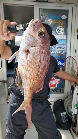 遊漁船 ニライカナイ 釣果