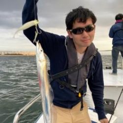 シーマジカル 釣果