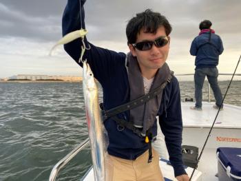 シーマジカル 釣果