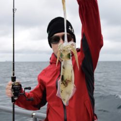 まるいち丸 ZERO-1 釣果