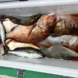 第二むつ漁丸 釣果