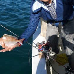 遊漁船 ニライカナイ 釣果