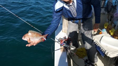 遊漁船 ニライカナイ 釣果