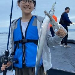 シーマジカル 釣果