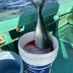 広進丸 釣果