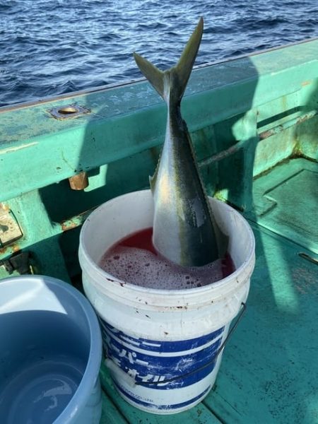 広進丸 釣果