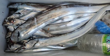 遊漁船　ニライカナイ 釣果