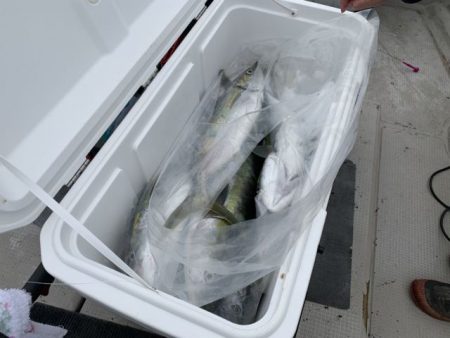 第八大安丸 釣果