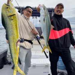 シーマジカル 釣果