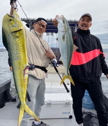 シーマジカル 釣果