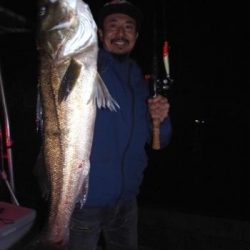 シーマジカル 釣果