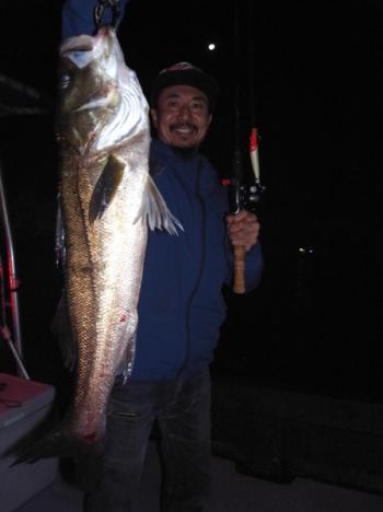 シーマジカル 釣果