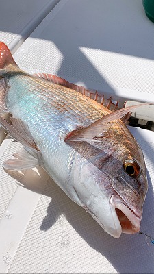 フィシングボートAir(エアー) 釣果