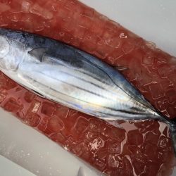 喜平治丸 釣果