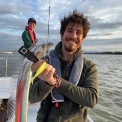 シーマジカル 釣果